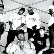 Eminem & D12 - List pictures