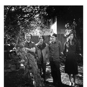 Silversun Pickups - List pictures