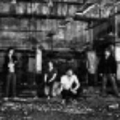 Finding Clyde - List pictures