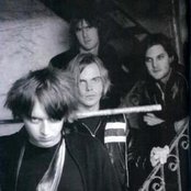 Vines - List pictures