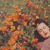 Letherette - List pictures