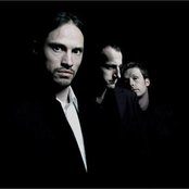 Disillusion - List pictures