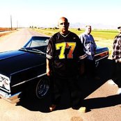 Nb Ridaz - List pictures