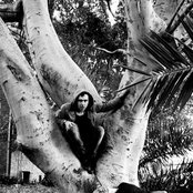 The Presets - List pictures