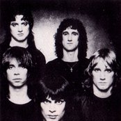 Wolf - List pictures