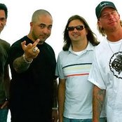 Stanid - List pictures