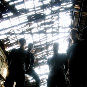 Orgone - List pictures