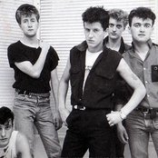 Anti-pasti - List pictures