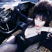 Elvira - List pictures