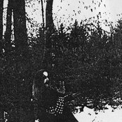 Lunar Aurora - List pictures