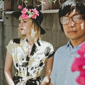 The Shoe - List pictures