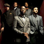 Bad Rabbits - List pictures