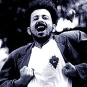 Tom Zé - List pictures