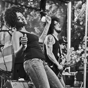 Orgone - List pictures