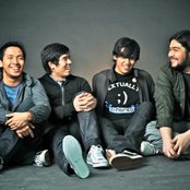 Hale - List pictures