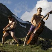 Frogs - List pictures