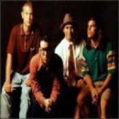 Plankeye - List pictures