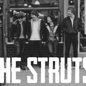The Struts - List pictures
