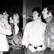 The Tremoloes - List pictures