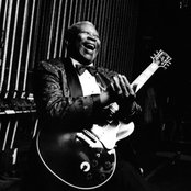 B.b. King - List pictures