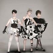 Chicks On Speed - List pictures