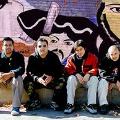 Nortec Collective - List pictures