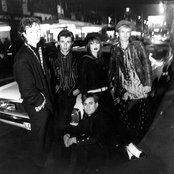 The Divinyls - List pictures