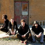 Elefantes - List pictures