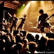 Dagoba - List pictures