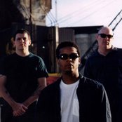 Tortoise - List pictures