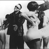 Domino - List pictures