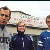 Sportfreunde Stiller - List pictures