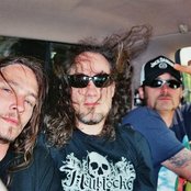 Solice - List pictures