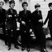 Flamin' Groovies - List pictures