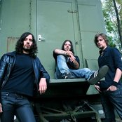 Cervello - List pictures