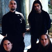 Immolation - List pictures