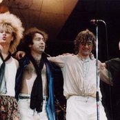 The Firm - List pictures