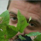 Efecto Mariposa - List pictures