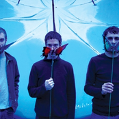 Cool Hand Luke - List pictures