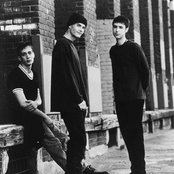 Cause And Effect - List pictures