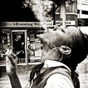 Shystie - List pictures