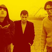 The Muffs - List pictures