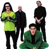 Dog's Eye View - List pictures