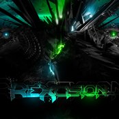 Excision - List pictures