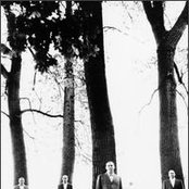 Smoking Popes - List pictures