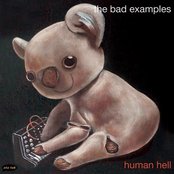 Bad Examples - List pictures
