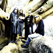 8 Foot Sativa - List pictures