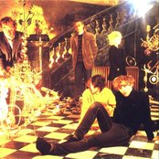 The Pastels - List pictures