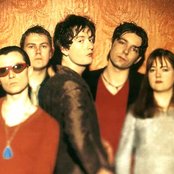 Pulp - List pictures