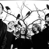 Himsa - List pictures